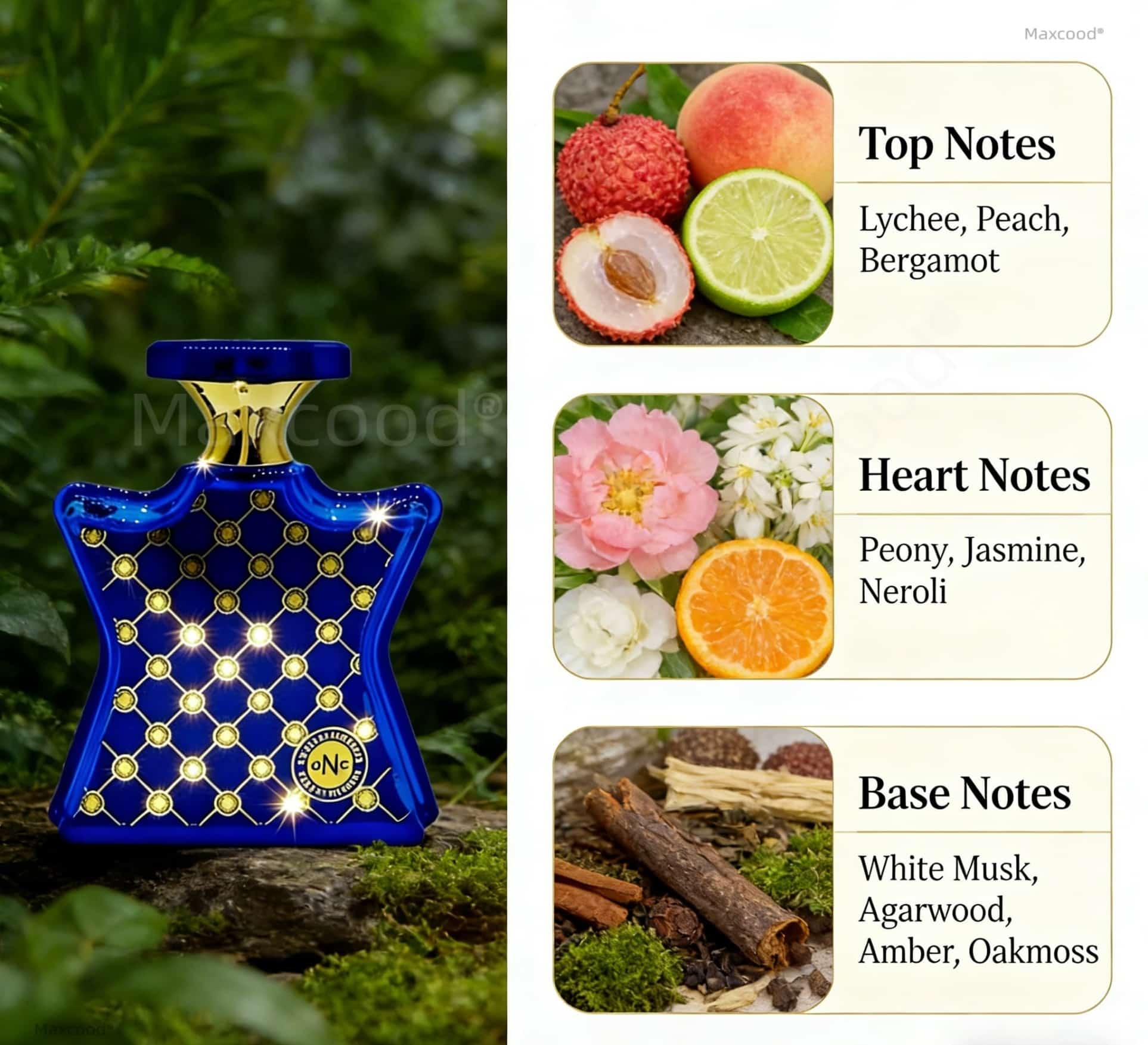 Citrus and Floral Perfume Long - đánh giá và giá Perfume Fragrance For Girls