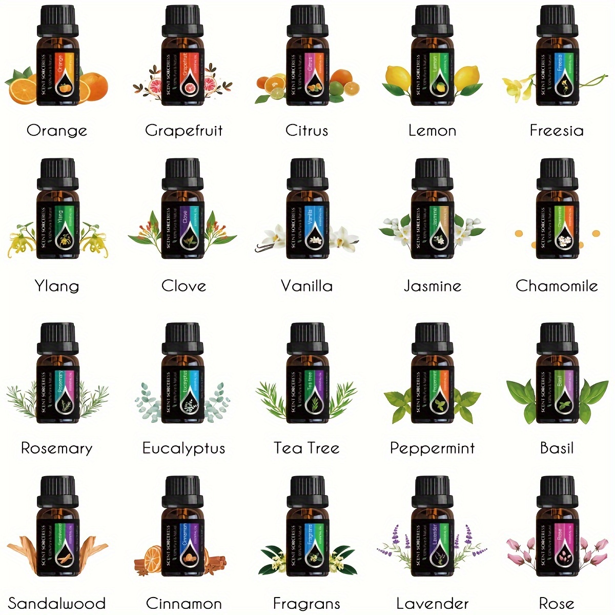 20pcs/set Essential Oil Set La - đánh giá và giá Perfume Fragrance Essence