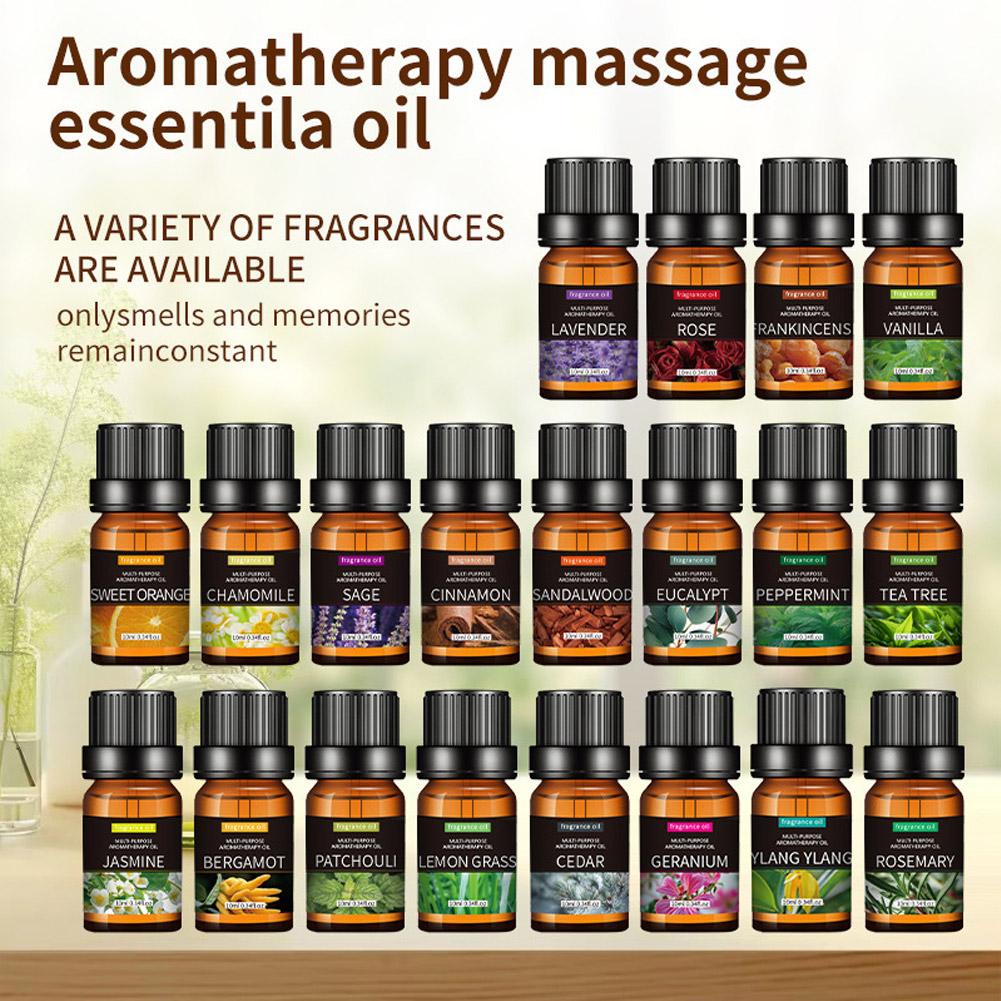 10mL Aromatherapy Essential Oi - đánh giá và giá Perfume Fragrance Essence