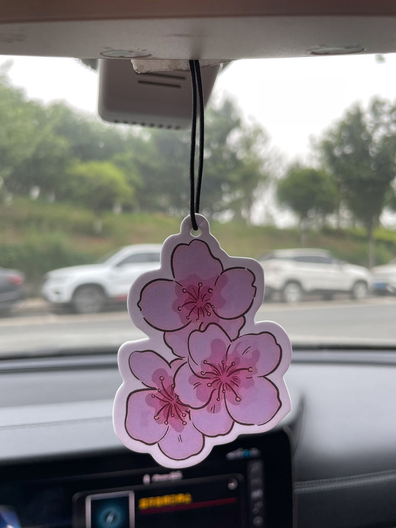 Sakura/Freesia Fresh Scent Fiv - đánh giá và giá Perfume Fragrance Types